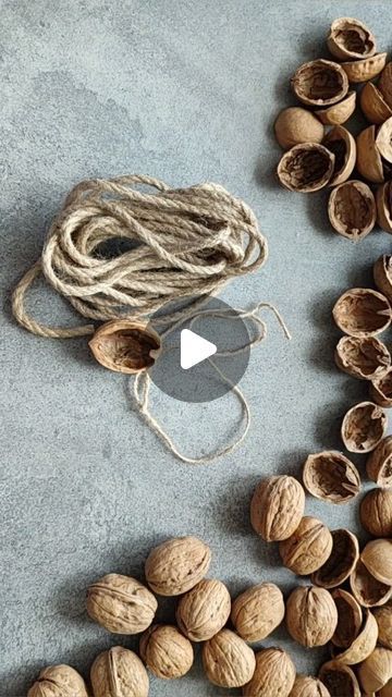 Walnut Shell Crafts, Diy Christmas Tree Ornaments, Walnut Shell, Reels Instagram, Shell Art, Shell Crafts, Diy Christmas Tree, Diy Art, Tree Ornaments