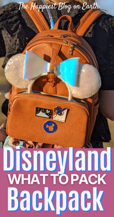 Disneyland Backpack, Bag Must Haves, Disney Trip Surprise, Plus Size Disney, Backpack Essentials, Disneyland Tips, Travel Trailer Remodel, Purse Essentials, Disney Mom