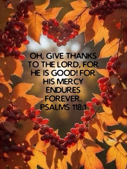 Happy Thanksgiving Christian Images, Happy Thanksgiving Spiritual, Thanksgiving Scripture Wallpaper, Happy Thanksgiving Quotes Christian, Give Thanks To The Lord For He Is Good, Thanksgiving Scripture Quotes, Happy Thanksgiving Images Christian, Thanksgiving Blessings Quotes Prayer, Happy Thanksgiving Christian