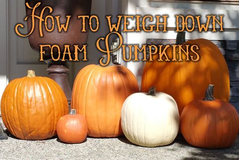 Our family lives east of Seattle in the foothills of the Cascade Mountains. Between the beautiful mountain views and the wildlife, we absol... How To Weigh Down Plastic Pumpkins, Large Pumpkins, Moon Time, Fake Pumpkins, Porch Pumpkins, Plastic Pumpkins, Foam Pumpkins, Genius Ideas, Cascade Mountains