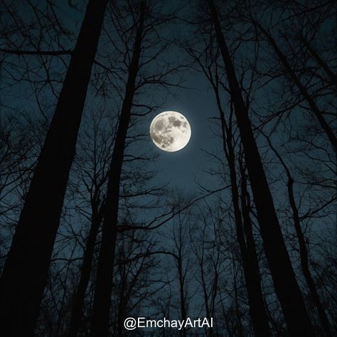 Embrace the serene beauty of the moonlit forest, where nature whispers under the glow of the full moon. Mystical and enchanting scenes brought to life. 🌕✨ #EmchayArtAI #LeonardoAi #Moonlight #ForestMagic #DigitalArt #NightScene #MysticalVibe Moonlit Forest, The Full Moon, Night Scene, The Glow, Full Moon, Digital Art, Forest, Moon, Beauty