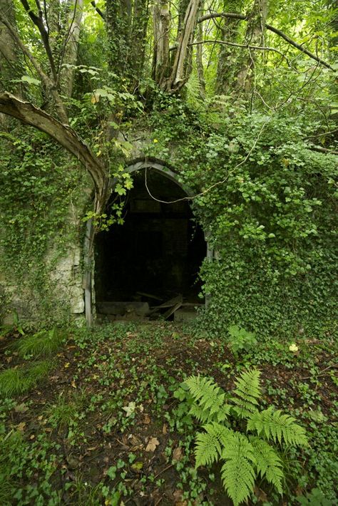 Secret Doorway, North Wales, Nature Aesthetic, Magical Places, Pretty Places, Green Aesthetic, Fantasy Landscape, Abandoned Places, Fantasy World