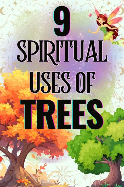 9 Spiritual Uses of Trees You Didn’t Know About #spiritualuses #spiritual #trees #treeuses #treespirit #treespirits #forest #trees #tree Tree Energy, Tree Spirituality, Spiritual Tree, Uses Of Trees, White Magic Spells, Linden Tree, Aura Reading, Tree Spirit, White Magic