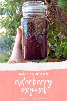 OTHER WAYS TO ELDERBERRY - LET'S MAKE AN OXYMEL » Joyful Roots - Botanical Wellness + Creative Alchemy Elderberry Echinacea Syrup Recipe, Elderberry Oxymel Recipe, Elderberry Syrup With Rose Hips Recipe, Fermented Elderberry Honey, Herbal Honey Recipes, Herbal Oxymel Recipes, Oxymel Remedies, Echinacea Recipes, Ginger Oxymel