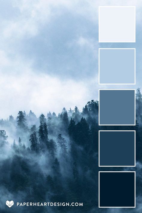 Navy Gray Color Palette, Moody Scenery, Apartment Color Schemes, Fog Forest, Gray Color Palette, Grey Palette, Winter Color Palette, Grey Color Palette, Nature Color Palette