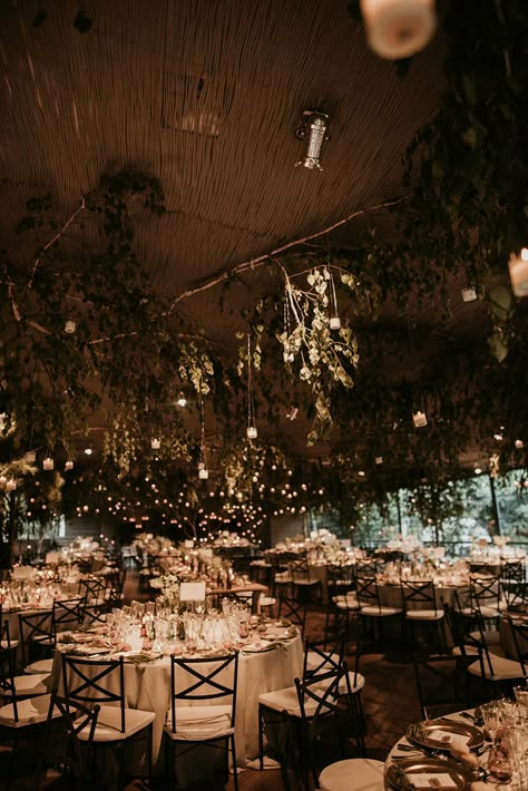 Fairy Lights Wedding Reception, Wedding Reception Lighting, Forest Theme Wedding, Low Cost Wedding, Fleurs Diy, Spanish Wedding, Dream Wedding Venues, Salou, Indoor Wedding