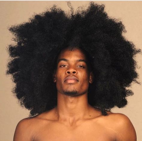 Long Curly Hair Men, Natural Hair Men, Big Afro, Afro Men, Low Carb Vegan, Pelo Afro, Black Men Hairstyles, Vegan Fitness, Curly Hair Men