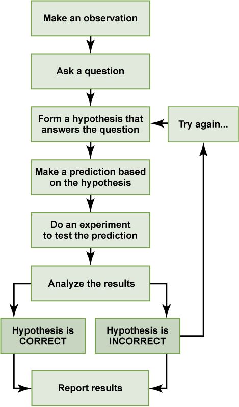 The Scientific Method | Introduction to Psychology Types Of Science, Inductive Reasoning, Introduction To Psychology, Psychology 101, Psychology Notes, The Scientific Method, Psychology Studies, Psychology Major, Thesis Writing