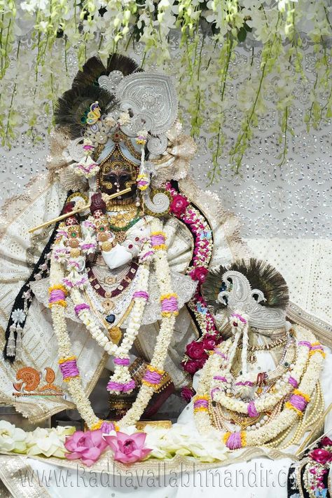 Radha Vallabh Ji Vrindavan, Radha Vallabh Ji, Radhavallabh Ji, Hit Harivansh, Radhavallabh Lal, Bihari Ji, Vrindavan Photography Pictures, Radha Raman, Cool Live Wallpapers