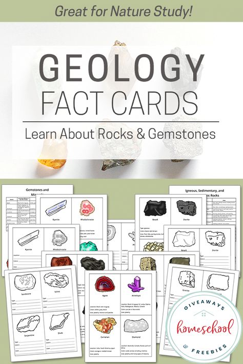 Anatomy Resources, Geology Activities, Nature Anatomy, Organized Homeschool, Types Of Rocks, Homeschool Binder, Different Types Of Rocks, Different Gemstones, Writing Printables