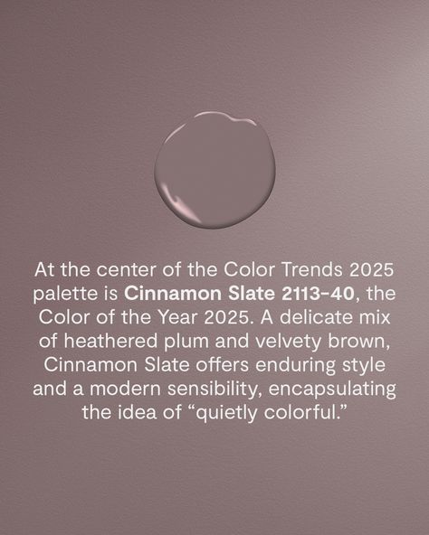 Benjamin Moore | Envelop your space in the moody hues from the #ColorTrends2025 palette, including the Color of the Year 2025, Cinnamon Slate 2113-40.... | Instagram Cinnamon Slate Color Palette, Slate Color Palette, Cinnamon Slate, Slate Color, Purple Color Palettes, Small Space Living, Color Of The Year, Benjamin Moore, Fashion Sewing