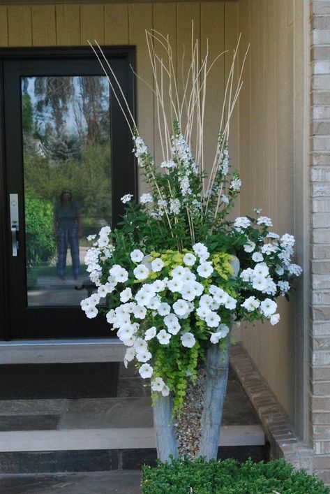 Tall Flower Pots - Ideas on Foter Summer Planter, Container Garden Design, Creeping Jenny, Container Gardening Flowers, Tall Flowers, Tall Planters, White Garden, Outdoor Flowers, Garden Containers