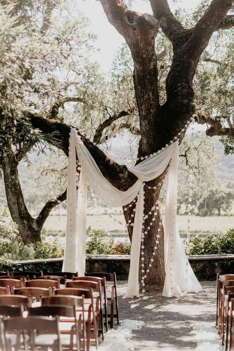 Wedding Ceremony Tree Decor, Standing Wedding Ceremony, Wedding Arch Tree, Tree Wedding Ceremony, Ivory Backdrop, Reception Music, Wedding Alters, Sonoma California, Oyster Bar