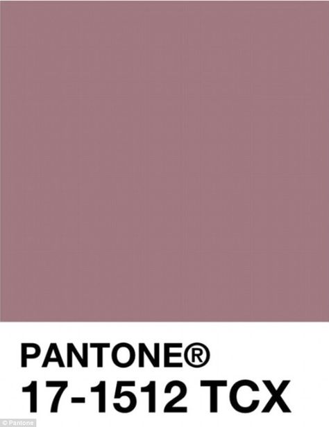 The Pantone shade is a mix between a dusty pink and mauve, and is a feminine choice for br... Dusty Mauve Paint Colors, Mauve Tones Colour Palettes, Dusty Pink Pantone, Mauve Pantone, Muted Pinks Colour Palettes, Dark Dusty Pink, Pantone Shades, Dusty Pink Color, Dust Pink