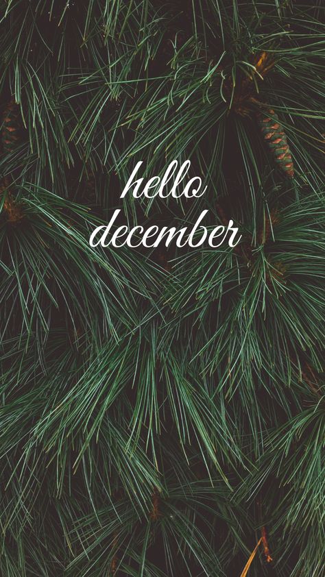 Hello December Wallpaper, December Wallpaper Iphone, Hello December Images, December Images, December Quotes, December Wallpaper, Wallpaper For Phone, Xmas Wallpaper, Happy December