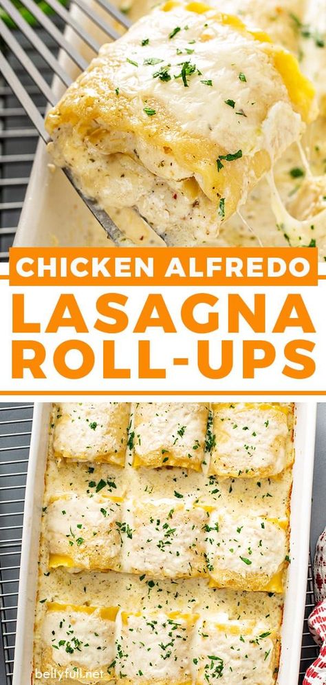 Lasagna Roll Ups With Ricotta, Chicken Alfredo Lasagna Rolls, Alfredo Lasagna Rolls, Chicken Lasagna Roll Ups, Chicken Alfredo Lasagna Recipe, Chicken Lasagna Rolls, Different Types Of Cheese, Chicken Alfredo Lasagna, Lasagna Roll Ups