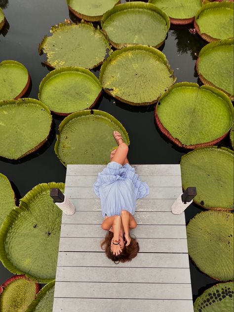 Giant Lily Pads, Thailand Photoshoot, Idea For Photo, Poses For Couples, Travel Pics, The Cafe, Lily Pads, Phuket, Couple Posing