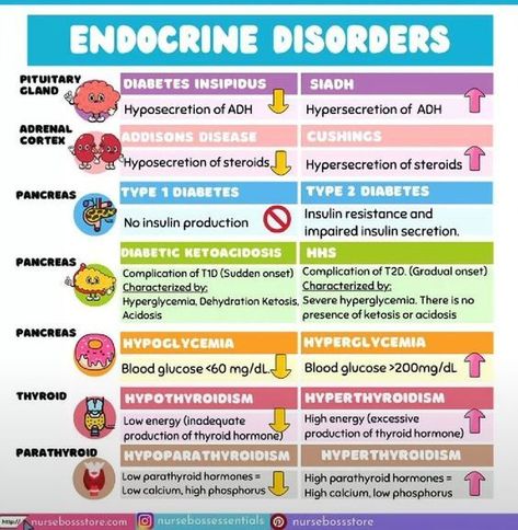 Endocrine Disorders #nursingstudent #nurse #resources - Image Credits: nursebossessentials Endocrine System Nursing, Pathophysiology Nursing, King Abdulaziz, Nursing School Essential, Nursing School Motivation, Nurse Study Notes, Nursing Mnemonics, Endocrine Disorders, Nursing Student Tips