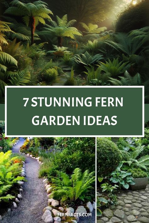 Lush fern garden with a variety of ferns and a winding stone path, promoting 7 stunning garden ideas from fernfacts.com. Fern House Ideas, Garden Ferns Ideas, Ferns In Garden Beds, Tropical Fern Garden, Ferns In The Garden, Australian Fern Garden, Fern Garden Bed, Fernery Ideas Design Shade Garden, Fern Garden Ideas Landscaping