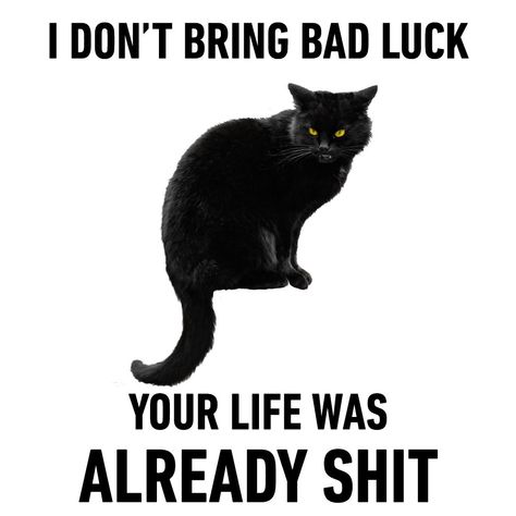 National Black Cat Day, Cat Sayings, Black Cat Day, Funny Cat Jokes, Cat Jokes, Cat Quotes Funny, Cat Comics, Cat Humor, Cat Things