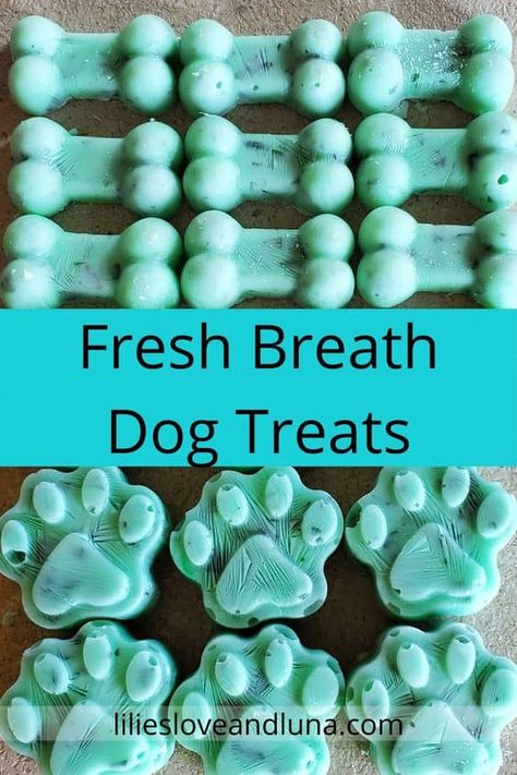 Easy 3 ingredient frozen fresh breath dog treats. Dog Breath Treats Homemade, Dog Fresh Breath Treats, Homemade Dog Treats For Bad Breath, Simple Dog Treats, Dog Treats For Bad Breath, Fresh Breath Dog Treats, Frozen Treats For Dogs, Dog Breath Treats, Diy Dog Treats Healthy