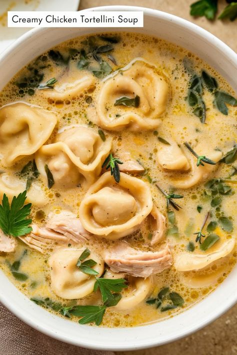 Creamy chicken tortellini soup topped with fresh herbs. Chicken Noodle Soup With Tortellini, Chicken And Cheese Tortellini Soup, Chicken And Herb Tortellini Recipes, Garlic Chicken Tortellini Recipes, Shredded Chicken And Tortellini, Chicken Tortellini Recipes Healthy, Chicken Tortilini Recipes Soups, Chicken Tortellini Recipes Soup, Herb Chicken Tortellini Recipes