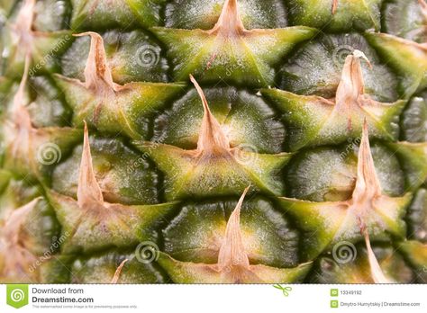 Pineapple Texture, Pineapple Photography, Pineapple Plant, Tessellation Patterns, Pineapple Planting, Texture Download, Food Texture, Texture Drawing, Photo Pattern