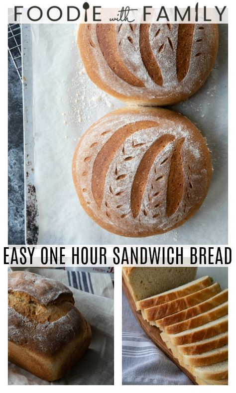 A Sandwich Bread recipe in one hour? Yes! And not only is it done in one hour, it's amazing! This easy bread recipe will become your go to! No special equipment or even loaf pans needed! Recipe includes how to sub in whole wheat flour and make either free-form or in a loaf pan. No Loaf Pan Bread, Free Form Bread Recipe, Quick Bread Recipes Easy Loaf Pan, Sandwich Bread Recipe No Yeast, Food Processor Bread, Quick Sandwich Bread, Sourdough Garlic Bread, Wheat Sandwich Bread Recipe, Sandwhich Bread