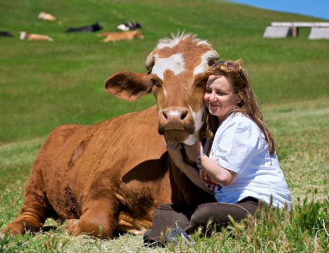 Farm Sanctuary's Animal Acres: 'Hug A Farm Animal Day' Connects Humans And Animals (PHOTOS) Animals Rights, Reasons To Go Vegan, Vegan Facts, Vegan Memes, Farm Sanctuary, Animal Activism, Vegan Quotes, Why Vegan, Animal Liberation