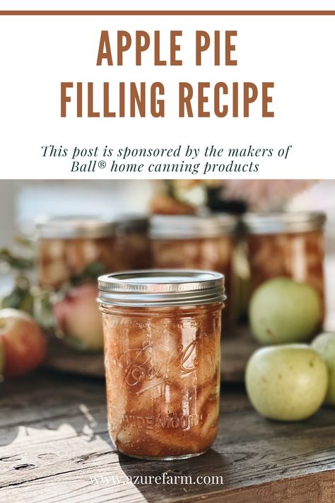 Making Delicious Apple Pie Filling With Ball® home canning Canning Apple Pie Filling, Apple Pie Filling Recipe, Canning Apples, Apple Pie Filling Recipes, Ball Canning, Pie Filling Recipes, Mini Apple Pies, Canned Apples, Apple Pie Filling