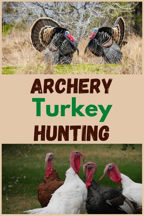 Turkey hunting is a humbling sport and the challenge of it all makes it addictive. Here's archery turkey hunting 101. Duck Hunting Dogs, Archery Tips, Hunting Diy, Deer Hunting Tips, Quail Hunting, Duck Hunting Gear, Shtf Preparedness, Deer Hunting Gear, Turkey Calling