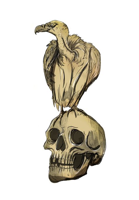 Vulture Drawing Sketches, Buzzard Illustration, Vulture Artwork, Vulture Drawing, Vulture Illustration, Bird Skull Tattoo, Strep Throat, Vulture Culture, Buzzard