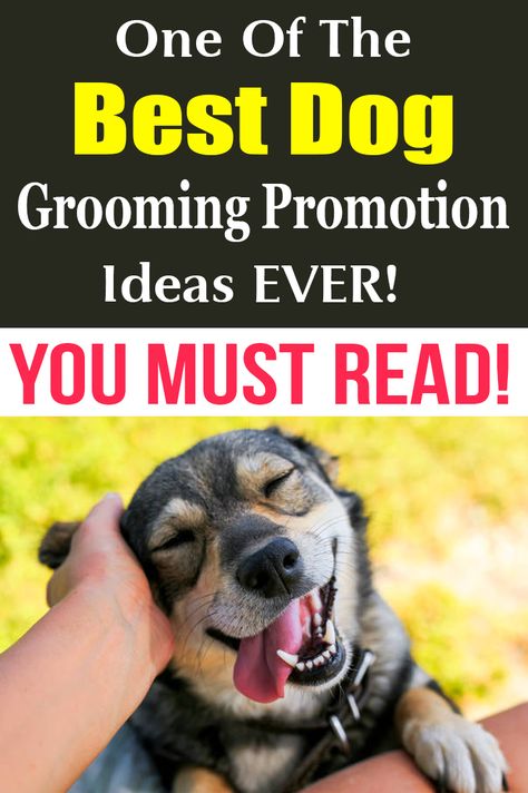 Dog Grooming Marketing Ideas, Dog Grooming Social Media Posts, Garage Grooming Salon, Small Dog Grooming Salon Ideas, Pet Grooming Advertising, Pet Grooming Salon Ideas Design, Grooming Salon Ideas Design, Dog Grooming Salon Ideas, Pet Marketing