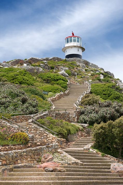 Cape Point South Africa, Cape Point, Knysna, Eastern Cape, South Africa Travel, Western Cape, Iconic Landmarks, Nature Reserve, Flora And Fauna