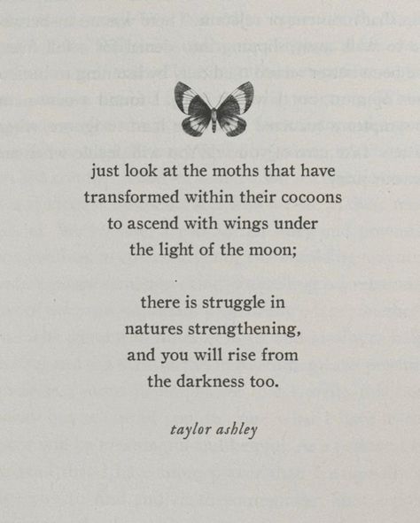 You will rise from the darkness too 🦋🌙 @taylorashleypoetry #butterfly #risingwoman #transformation #metamorphosis #moth #preraphaelite #womanartist Moth Quotes, Metamorphosis Quotes, Butterfly Poems, Metamorphosis Art, Butterfly Transformation, Butterfly Metamorphosis, Feminine Artwork, Transformation Quotes, Canvas Inspiration