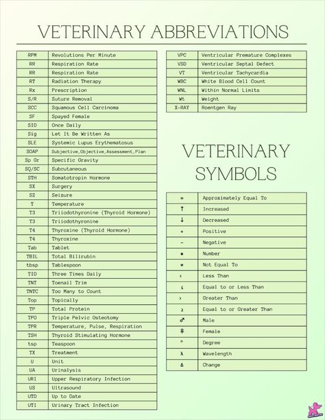 Veterinary Medical Terminology, Veterinary Suture Patterns, Ross University Of Veterinary Medicine, Veterinary Assistant Training, Vet Assistant Notes, Vet Terminology, Veterinary Terminology, Medical Terminology Study Cheat Sheets, Vet Tech Cheat Sheet