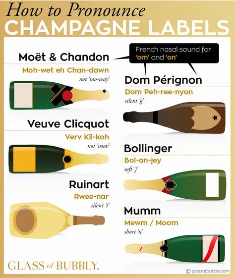 Types Of Champagne, Champagne Quotes, Wine Chart, Wine Facts, Wine Knowledge, Wine Education, Wine Guide, Champagne Label, Wine Food Pairing