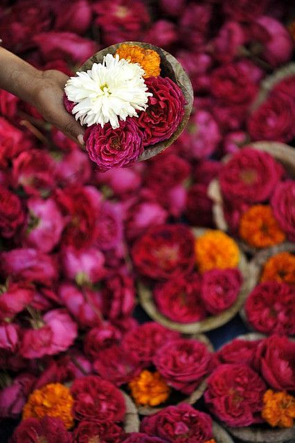 Mother India, Kumbh Mela, India Photography, India Colors, Arte Floral, On The Ground, Incredible India, Flower Market, Pretty Flowers