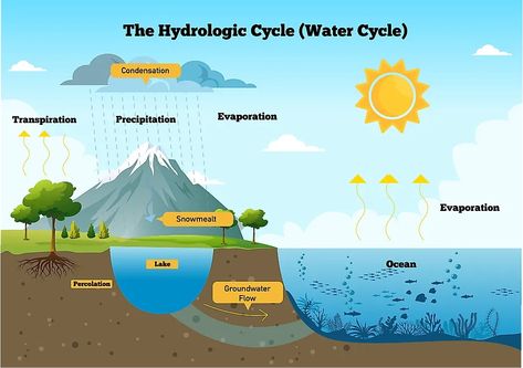 The Water Cycle - WorldAtlas Hydrological Cycle, Cycle Drawing, Saline Water, Weather Worksheets, The Water Cycle, Water Images, Water Molecule, Curriculum Development, Earth Surface