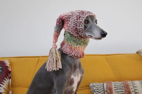 Whippet Pink Knit Tassel Hat Greyhound Italian Greyhound Sighthound Whippet Hat, Whippet Clothes, Greyhound Italian, Dog Wearing Clothes, Italian Dogs, Snood Pattern, Crochet Snood, Dog Snood, Awesome Animals