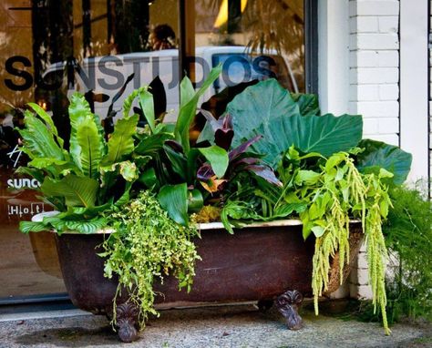 10 Creative Ideas to Reuse & Recycle Bathtub (Pictures) Dream Tub, Bathtub Planter, Bathtub Garden, Antique Tub, Bathtub Pictures, Garden Bathtub, Friday Flowers, Old Bathtub, Flea Market Gardening