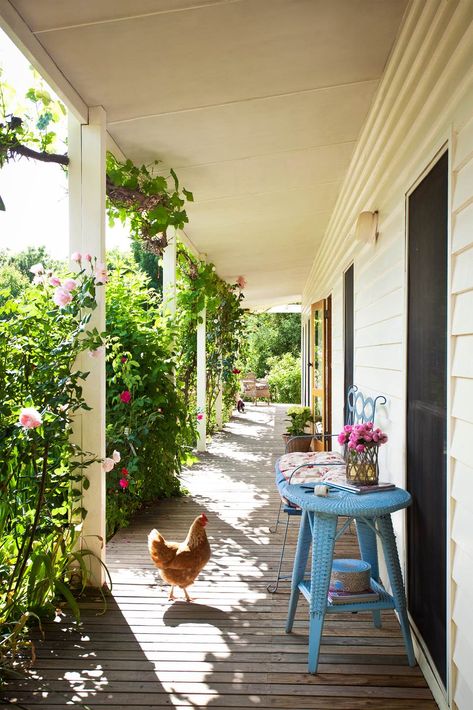 Country Porch, Farmhouse Porch, The Porch, Country Farm, A Chicken, Country Gardening, Porch Patio, Shade Garden, Chicken Coop