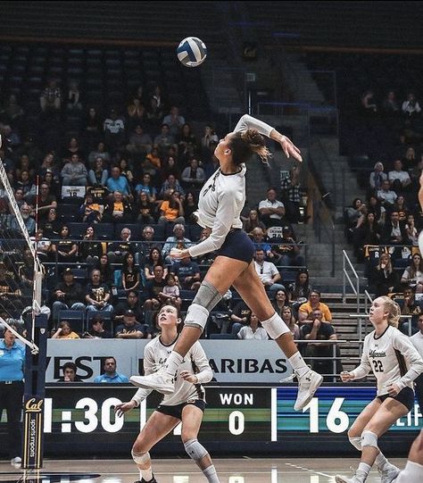 lifestylestudies — @lifestylestudies​ Volleyball Team Pictures, Volleyball Motivation, Sports Photoshoot, Volleyball Photography, Volleyball Senior Pictures, Volleyball Wallpaper, Volleyball Photos, Playing Volleyball, Volleyball Poses