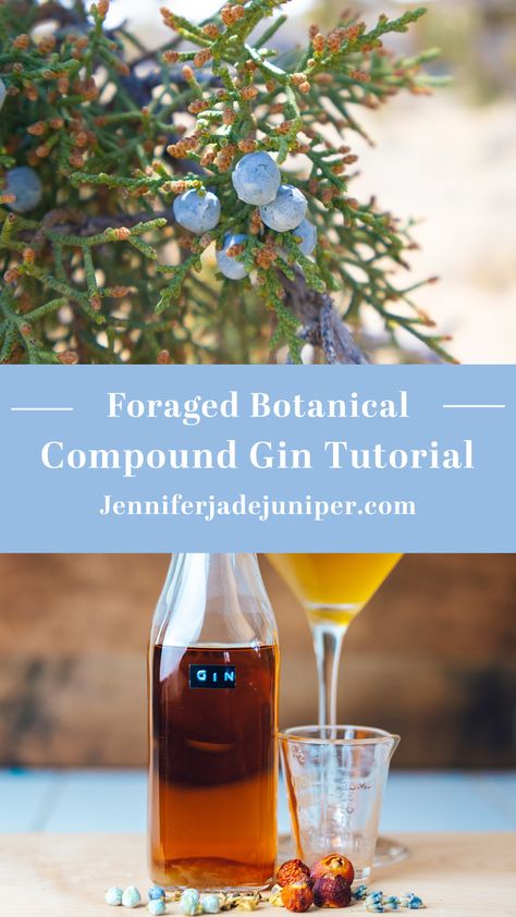 Craft Your Own Gin From Wild Ingredients - Jennifer Jade Juniper Homemade Gin, Gin Making, Half Gallon Mason Jars, How To Make Gin, Gallon Mason Jars, Gin Tasting, Kitchen Skills, Butter Pie, Wild Edibles