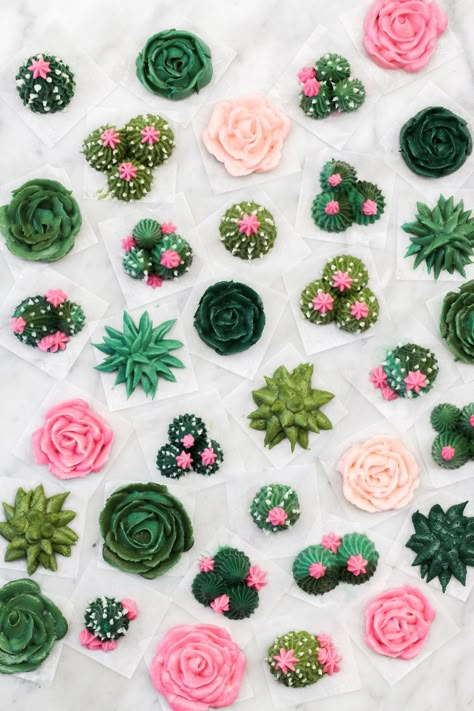 Cactus Cupcakes, Succulent Cupcakes, Succulent Cake, Cactus Cake, Mini Torte, Canned Frosting, Cupcake Designs, Easy Cake Decorating, Childrens Birthday Cakes