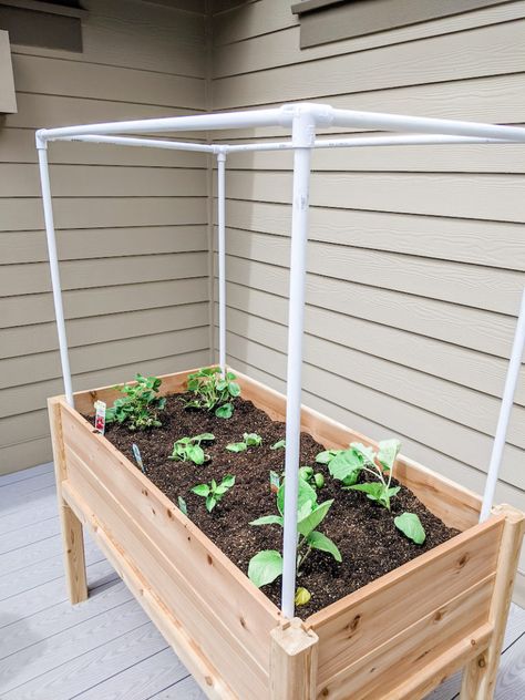 Small Completed Space Vegetable Garden Vegetable Gardens Ideas, Vegetable Garden Idea, Vegetables Garden Ideas, Backyard Vegetable Garden Ideas, Plant Garden Design, Garden Ideas Vegetable, Apartment Vegetable Garden, Home Vegetable Garden Design, Vegetable Gardening Ideas