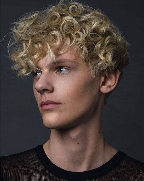 Sums has hair like this- curly and light blonde. He has blue eyes and wears glasses but is significantly chubbier than this. Blue Curly Hair, Curly Hair Boy, Messy Blonde Hair, Blonde Hair Boy, James D'arcy, Hair Boy, Blonde Curly Hair, Blonde Curls, Dirty Blonde Hair