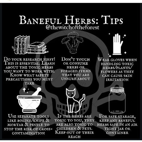 @mysticwitchofthemoon posted on Instagram: “Credit- @thewitchoftheforest . . #witchy #witchesofinstagram #wiccansofinstagram #witchlife #witch #witchcraft #wicca #wiccan #pagan…” • Sep 28, 2020 at 11:53pm UTC Baneful Herbs, Baneful Magick, Wicca Recipes, Chaos Magick, Hoodoo Spells, Charmed Book Of Shadows, Green Witchcraft, Tarot Magic, Magic Spell Book