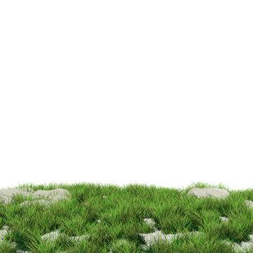 Background Grass Nature, Green Grass Png, Grass Images, Grass Bushes, Avatar Ocs, Grass Png, Cartoon Grass, Grass Illustration, Grass Texture