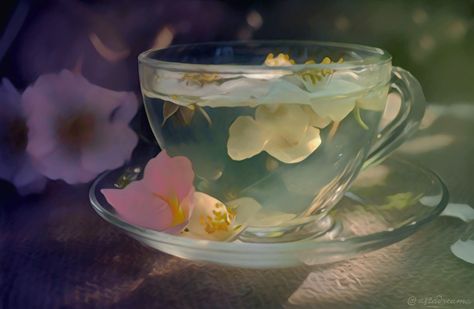 Detailing art by Astasia DreamHello! Pretty Drinks, My Cup Of Tea, Floral Tea, Flower Tea, High Tea, Glass Cup, Beautiful Things, Macarons, Tea Time